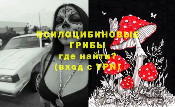 ешки Алексин