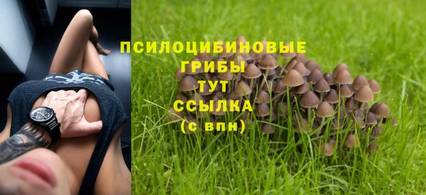 ешки Алексин