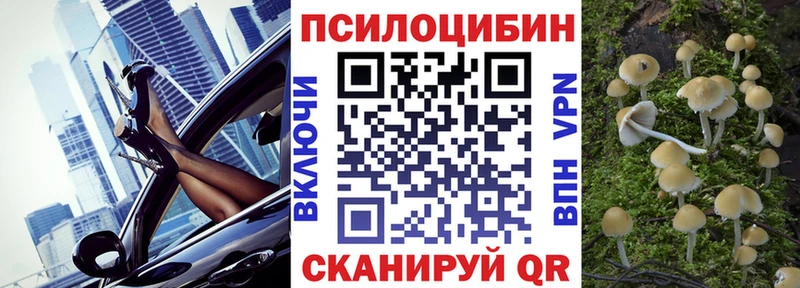 дарк нет официальный сайт  Николаевск  Галлюциногенные грибы Psilocybe  кракен ONION 