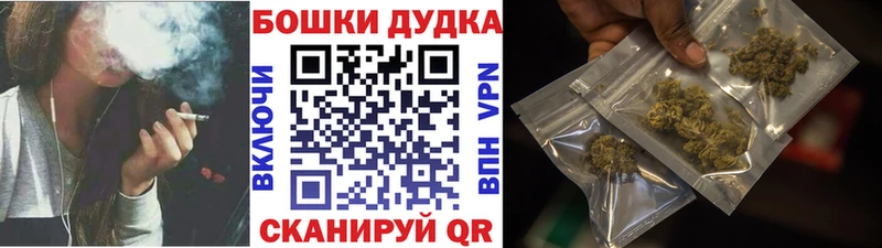 mega рабочий сайт  Николаевск  Шишки марихуана OG Kush  закладки 